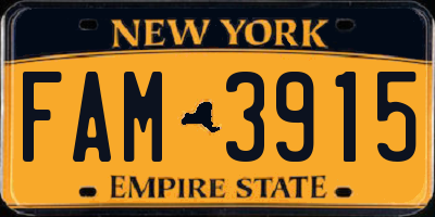 NY license plate FAM3915