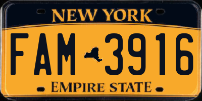NY license plate FAM3916
