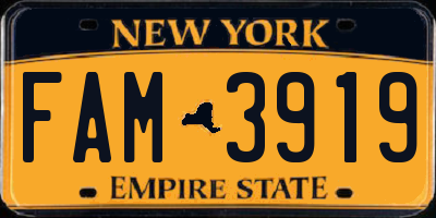 NY license plate FAM3919