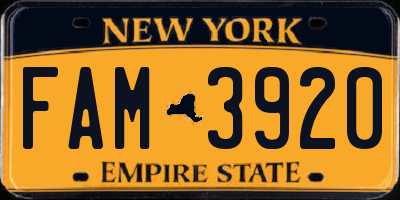 NY license plate FAM3920