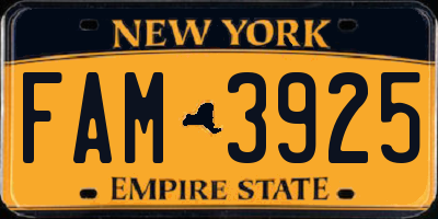 NY license plate FAM3925