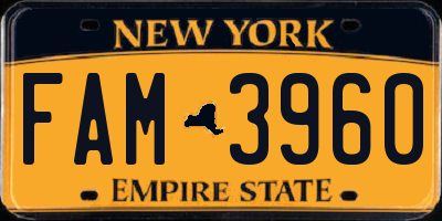 NY license plate FAM3960