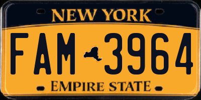 NY license plate FAM3964