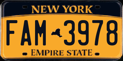 NY license plate FAM3978