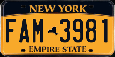 NY license plate FAM3981