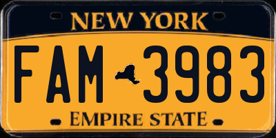 NY license plate FAM3983