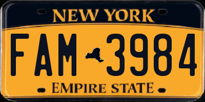 NY license plate FAM3984