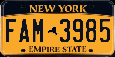 NY license plate FAM3985