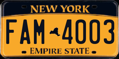 NY license plate FAM4003