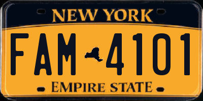 NY license plate FAM4101