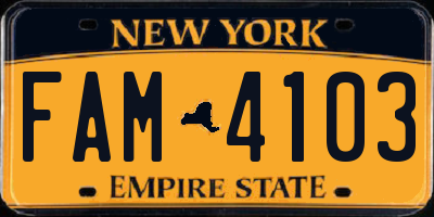 NY license plate FAM4103