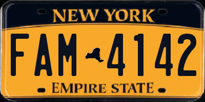 NY license plate FAM4142