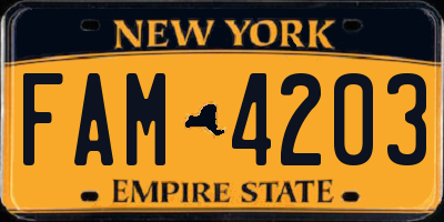NY license plate FAM4203