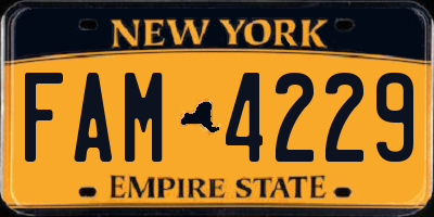 NY license plate FAM4229