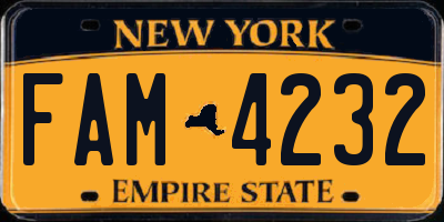 NY license plate FAM4232