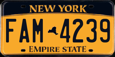 NY license plate FAM4239