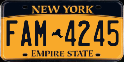 NY license plate FAM4245
