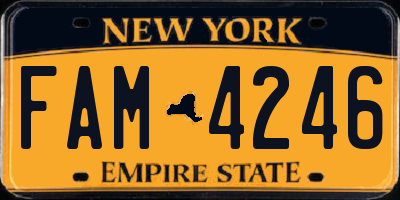 NY license plate FAM4246