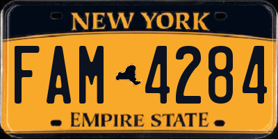 NY license plate FAM4284