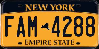 NY license plate FAM4288