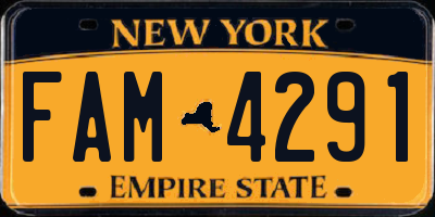 NY license plate FAM4291