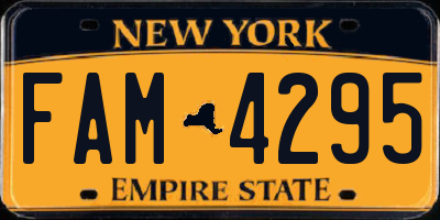 NY license plate FAM4295