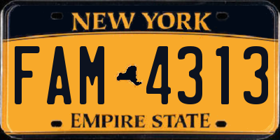 NY license plate FAM4313