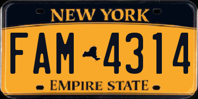 NY license plate FAM4314