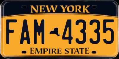 NY license plate FAM4335