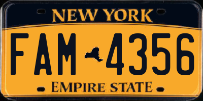NY license plate FAM4356