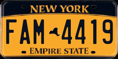 NY license plate FAM4419