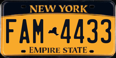 NY license plate FAM4433