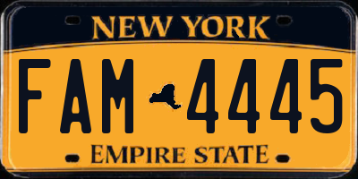 NY license plate FAM4445