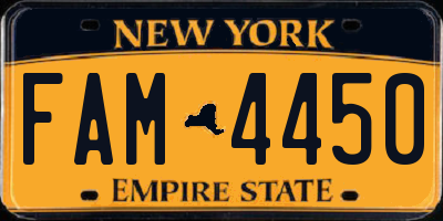 NY license plate FAM4450