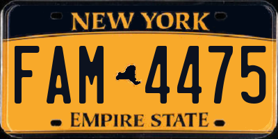 NY license plate FAM4475
