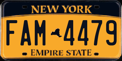 NY license plate FAM4479