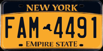NY license plate FAM4491