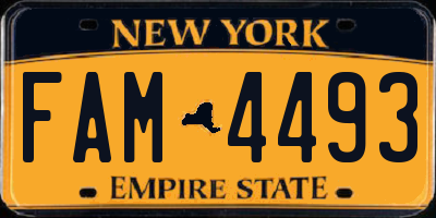 NY license plate FAM4493