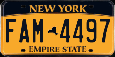 NY license plate FAM4497