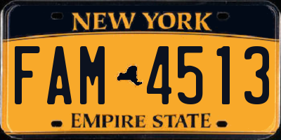 NY license plate FAM4513