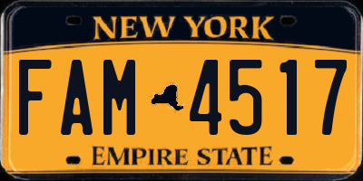 NY license plate FAM4517
