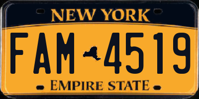 NY license plate FAM4519
