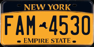 NY license plate FAM4530