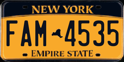 NY license plate FAM4535
