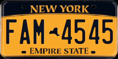 NY license plate FAM4545