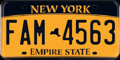 NY license plate FAM4563