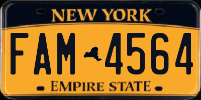 NY license plate FAM4564