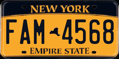 NY license plate FAM4568