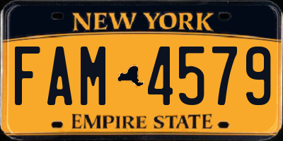 NY license plate FAM4579