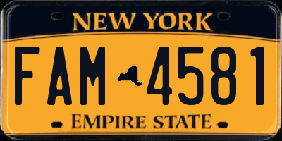 NY license plate FAM4581